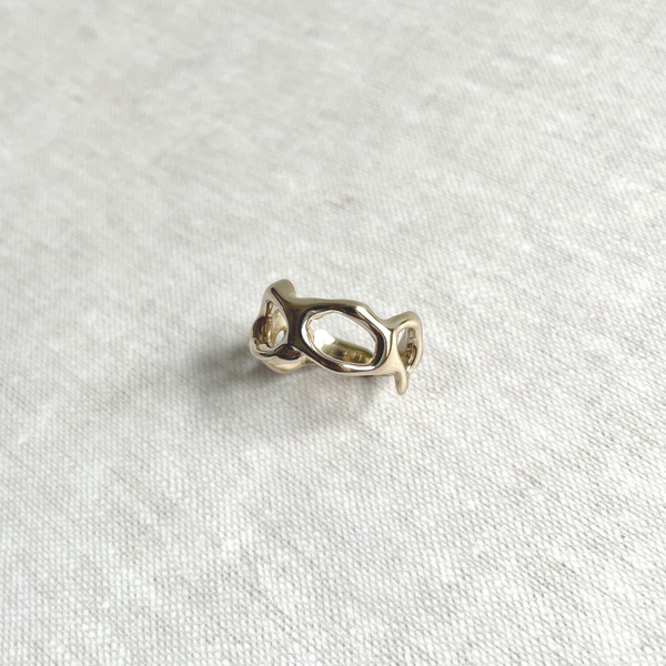 Species by the Thousands gold chain link ring.