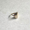 Species by the Thousands brass signet ring.