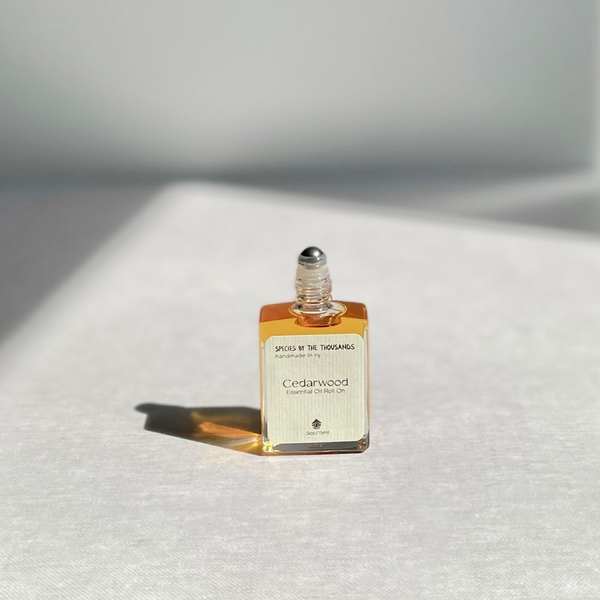 Species by the Thousands Cedarwood Essential Oil Roll On in a square glass bottle with a beige paper label.