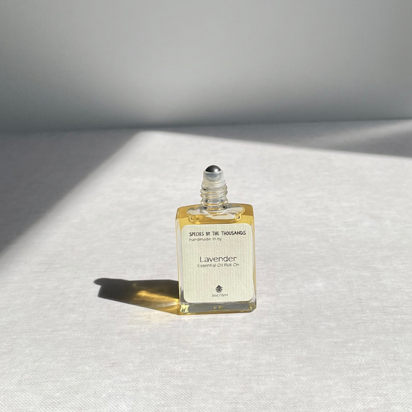 Species by the Thousands Lavender Essential Oil Roll On in a square glass bottle with beige label.