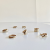 Species by the Thousands rings in brass.